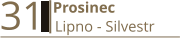 31    Prosinec Lipno - Silvestr