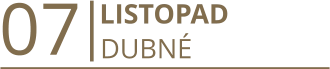 07       LISTOPAD DUBNÉ