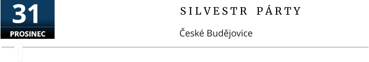 S I L V E S T R    P Á R T Y České Budějovice   311 PROSINEC