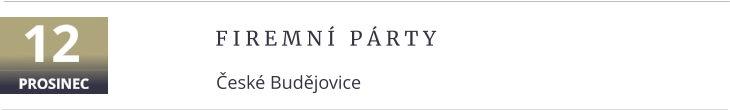 F i r e m n í   p á r t y České Budějovice 12 PROSINEC